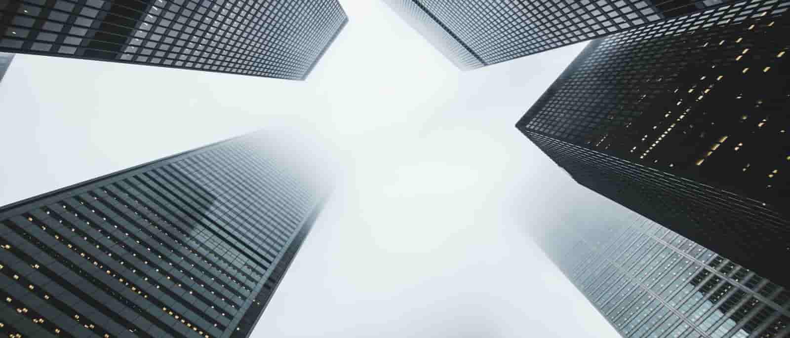 متخصص سئو در شیراز